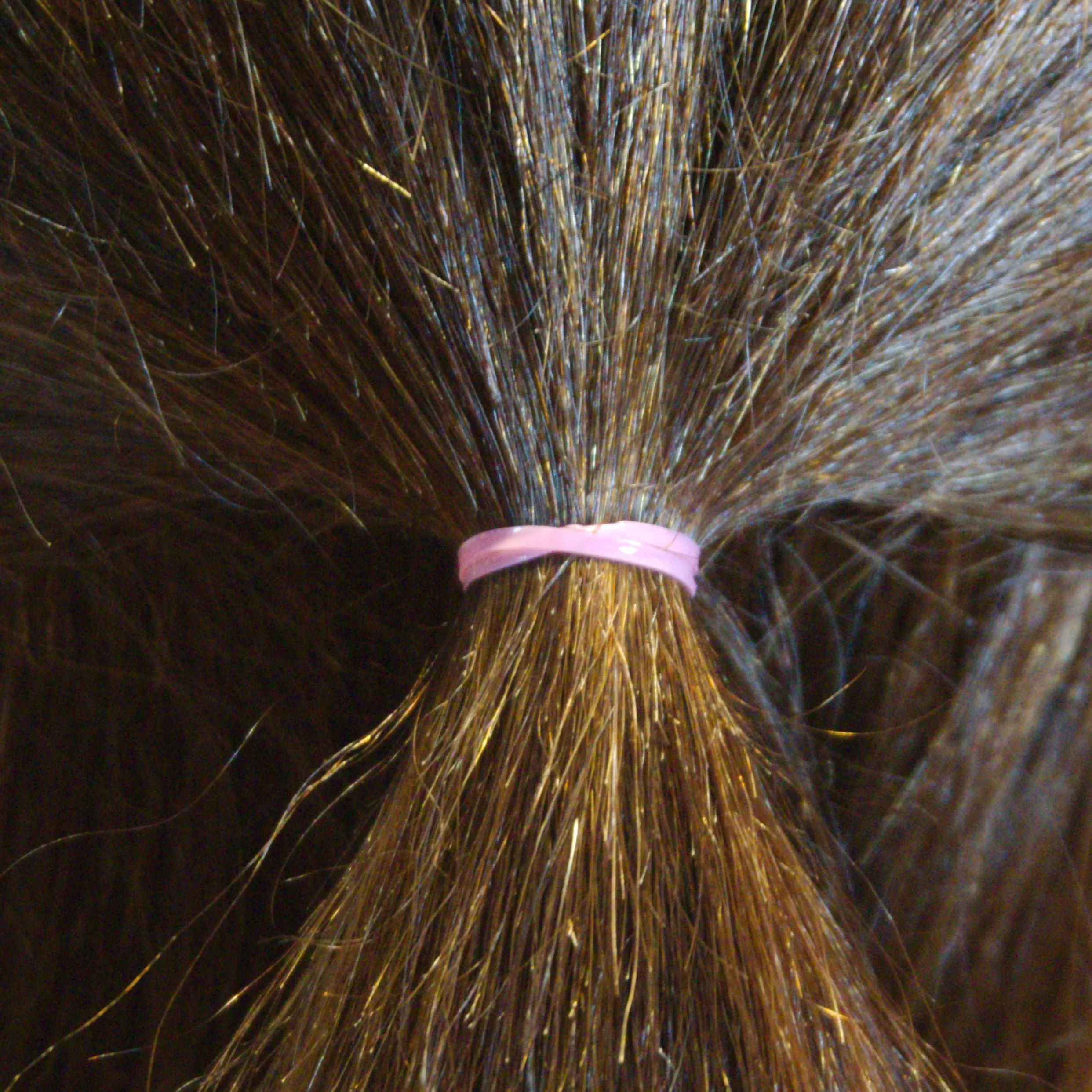 Amelia Beauty | 1/2in, Fuchsia, Tangle Free Elastic Pony Tail Holders | Made in USA, Ideal for Ponytails, Braids, Twists. For Women, Girls. Pain Free, Snag Free, Easy Off | 500 Pack