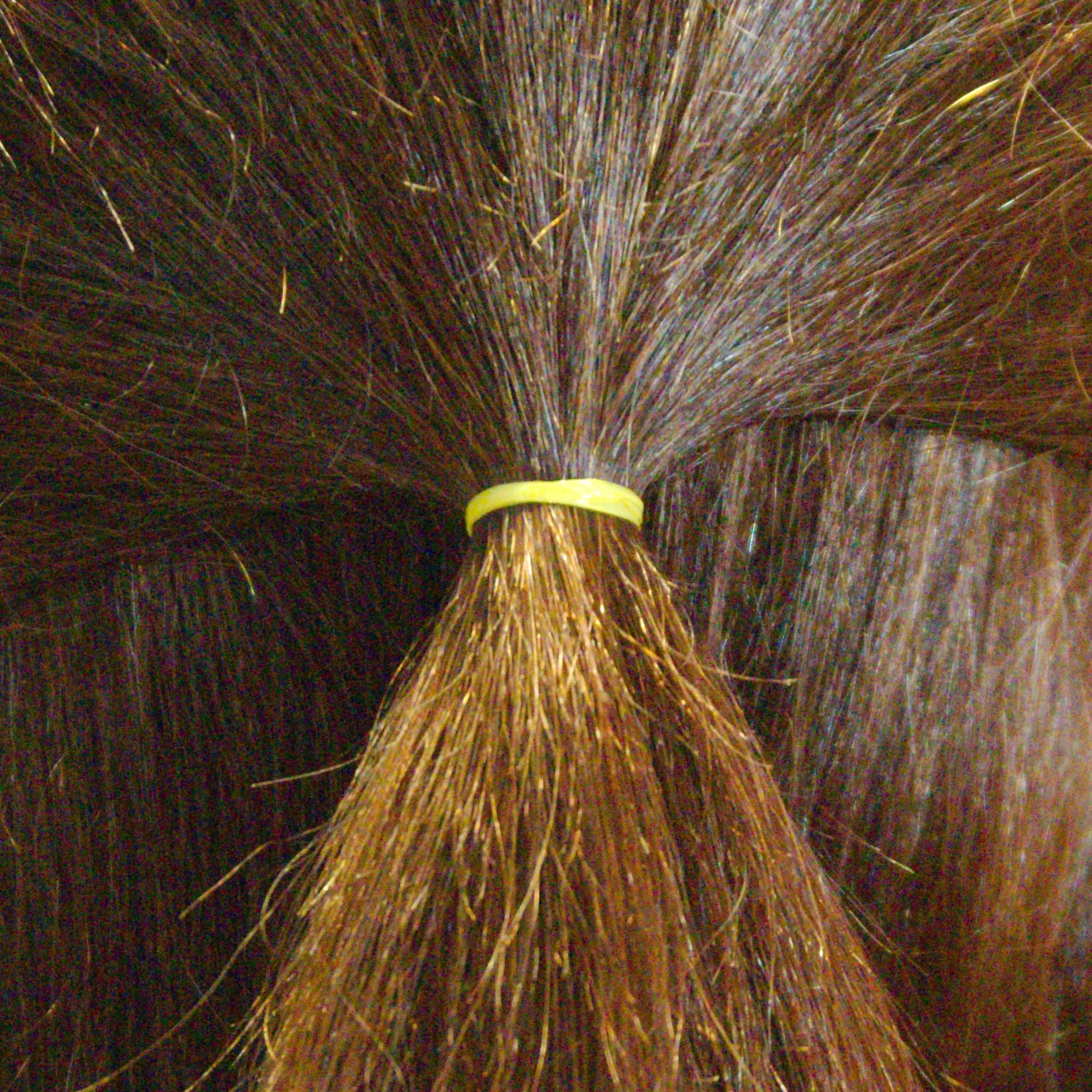 Amelia Beauty | 1/2in, Yellow, Tangle Free Elastic Pony Tail Holders | Made in USA, Ideal for Ponytails, Braids, Twists. For Women, Girls. Pain Free, Snag Free, Easy Off | 500 Pack