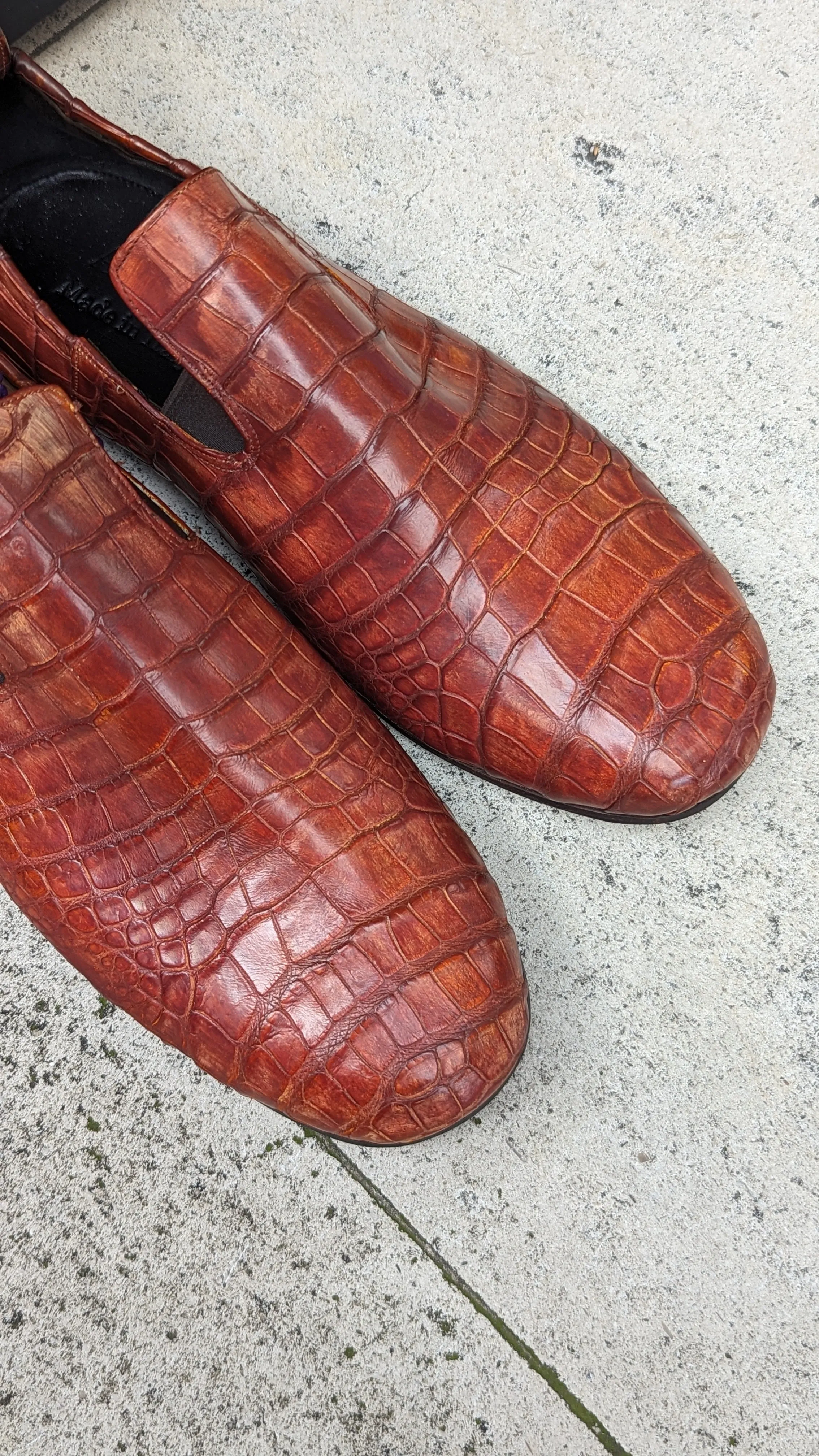 Ascot Tate - Tan Crocodile