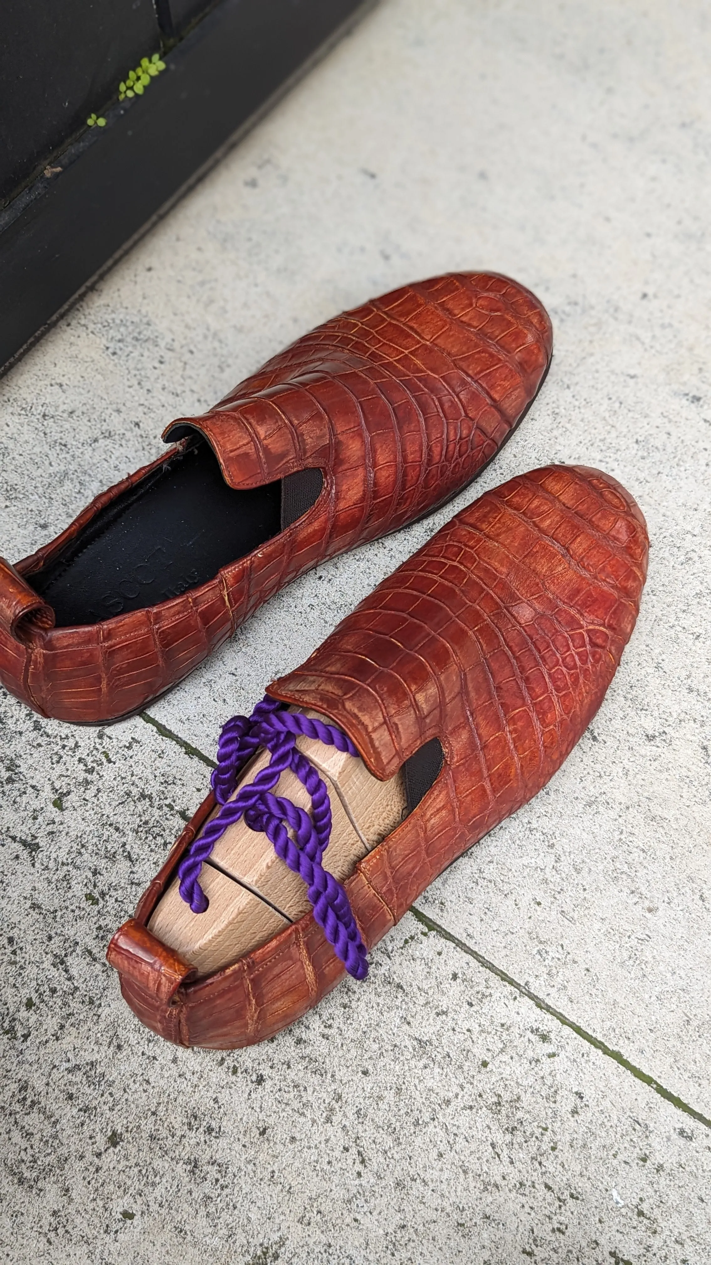 Ascot Tate - Tan Crocodile