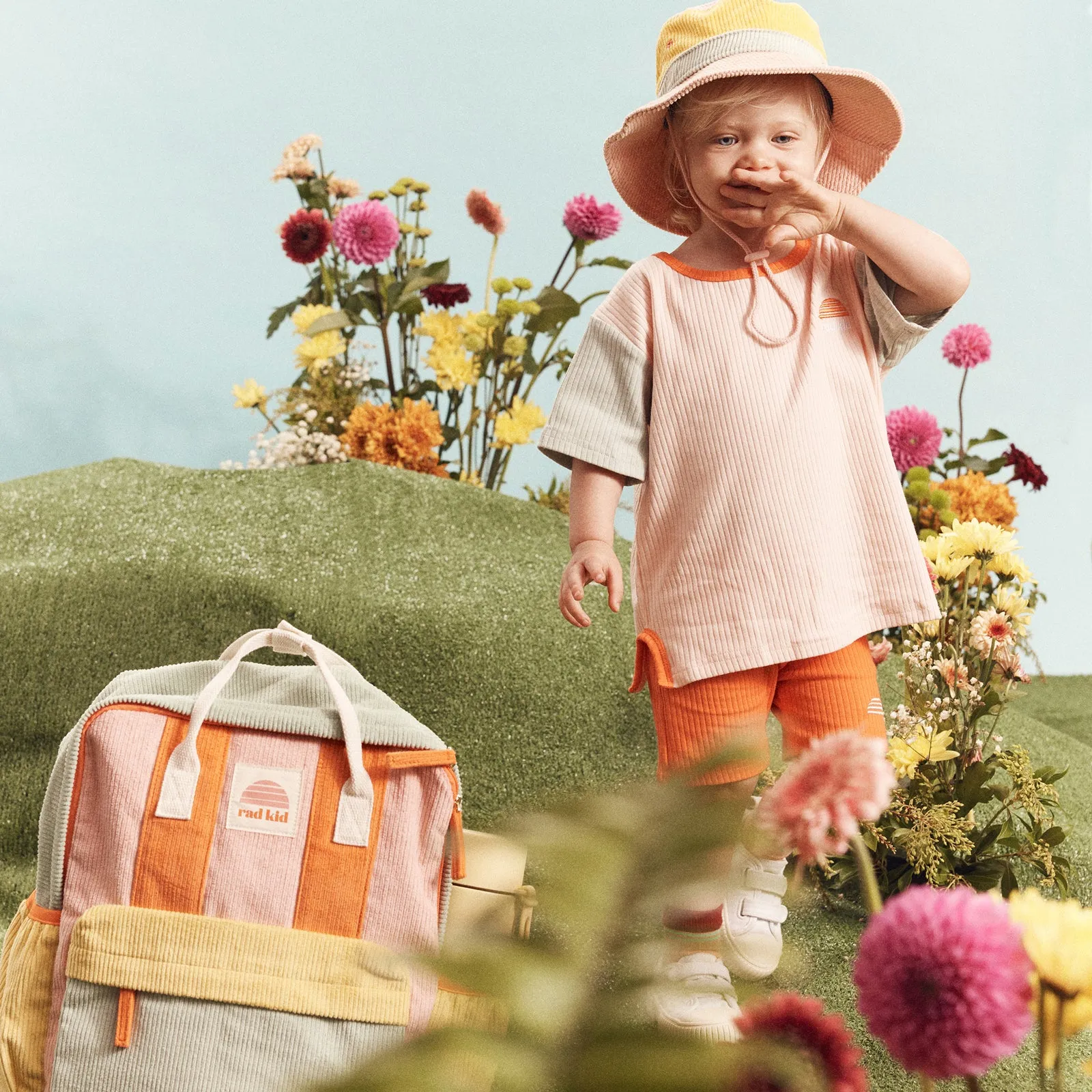 Back To School Bundle - Candy Splice