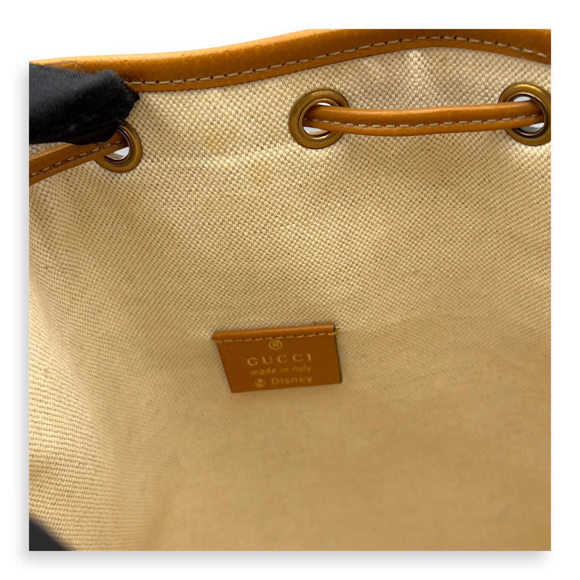Disney Bucket Bag Brown in Coated Canvas, Gold hardware
