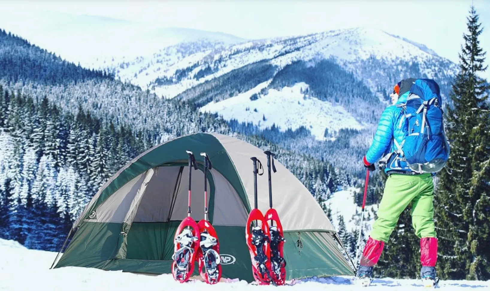 UNP Camping Tent 2/3/4/6 Person Dome Tent Easy to Set Up for Camping Lightweight Camping Tent Portable Camping Tent for Outdoor and Backpacking Beaches